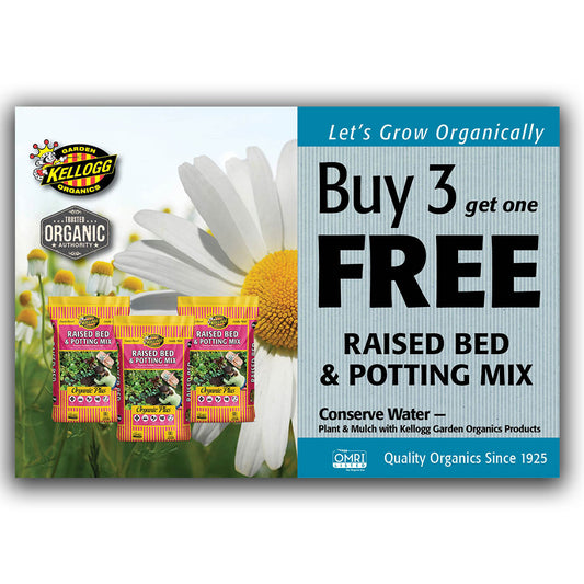 KGO Raised Bed BUY3 Promo-Digital Flyer