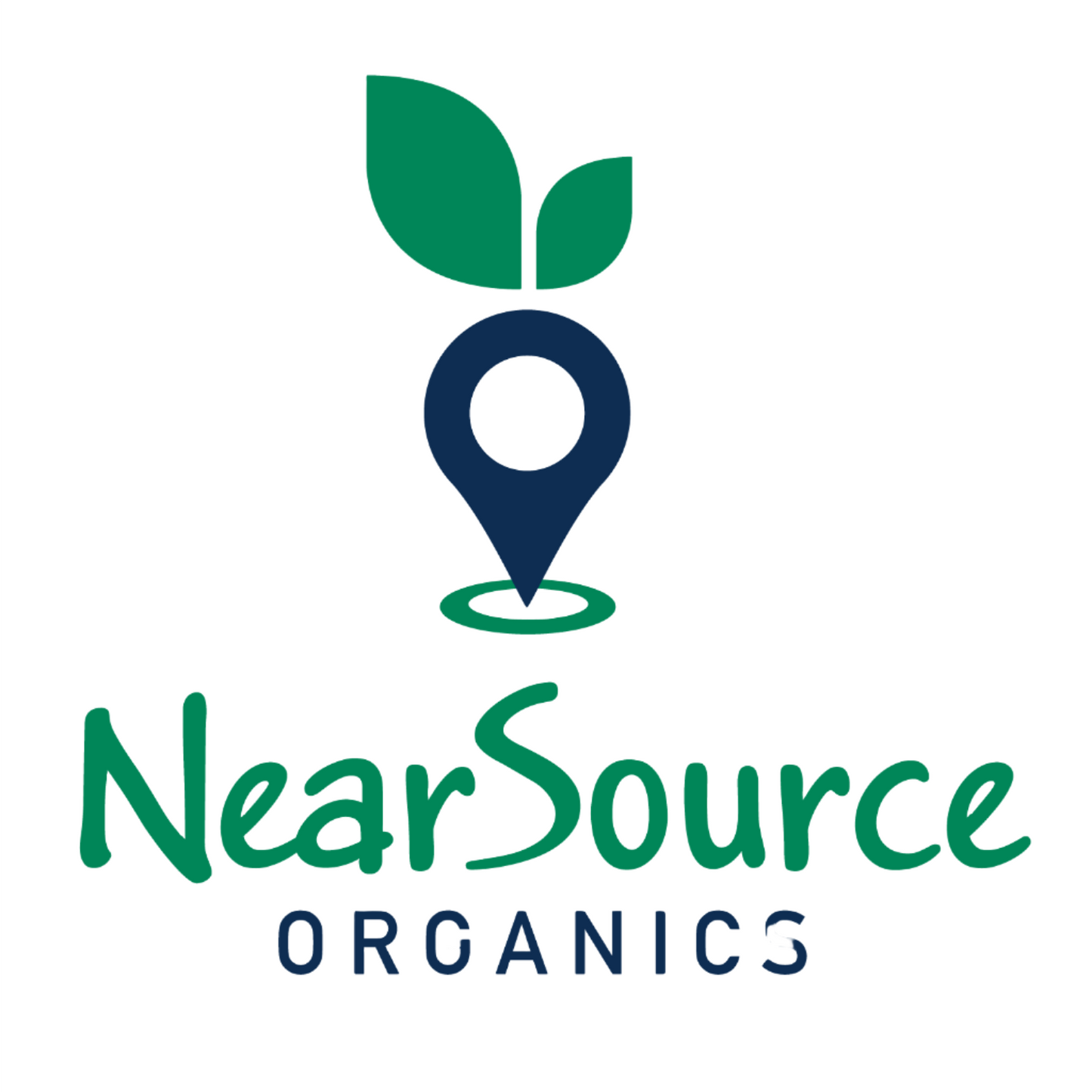 NSO Logo - Digital Download